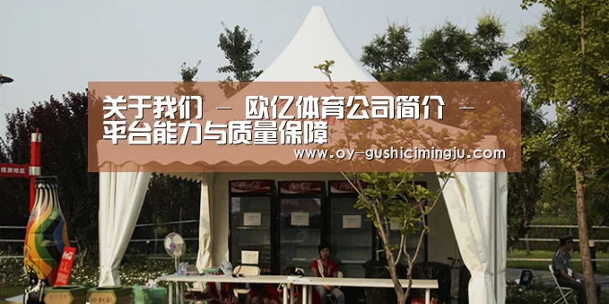 案例标题五