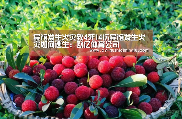 宾馆发生火灾致4死14伤宾馆发生火灾如何逃生:欧亿体育公司