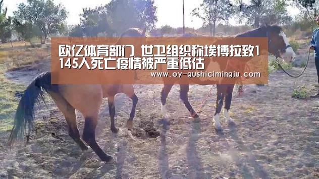 欧亿体育部门_世卫组织称埃博拉致1145人死亡疫情被严重低估(图2) 欧亿体育团队