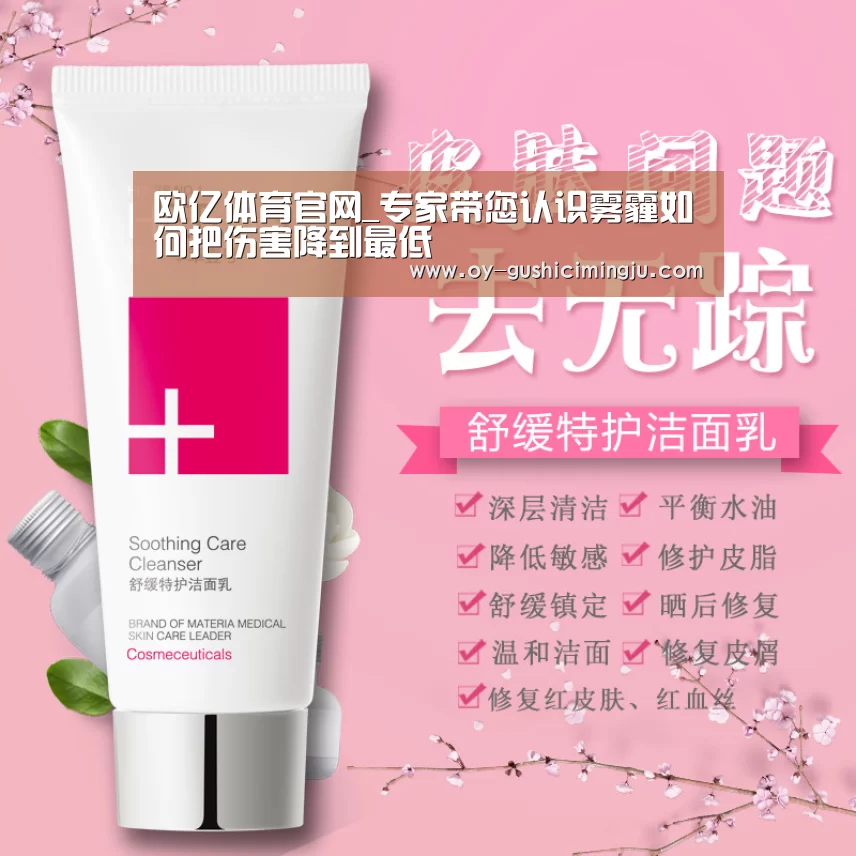 欧亿体育官网_专家带您认识雾霾如何把伤害降到最低(图3) 欧亿体育官网