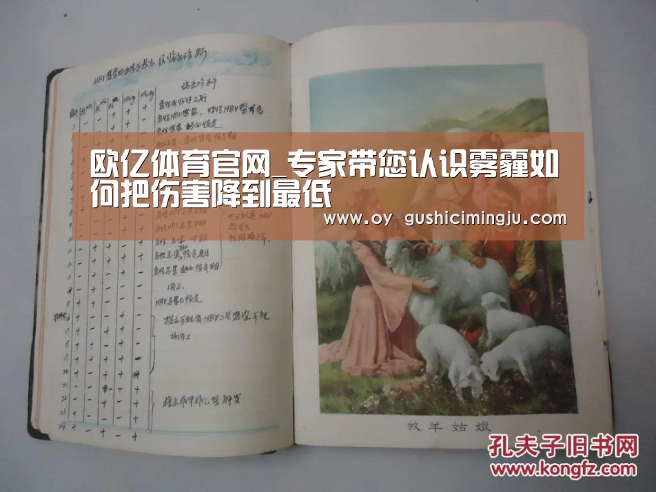 欧亿体育官网_专家带您认识雾霾如何把伤害降到最低(图4) 欧亿体育官网