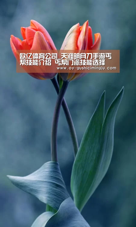 欧亿体育部门